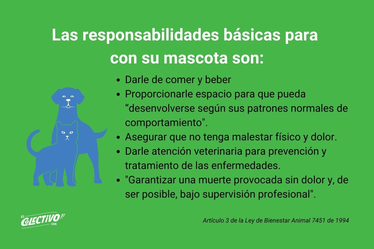 Las responsabilidades básicas con su mascota son