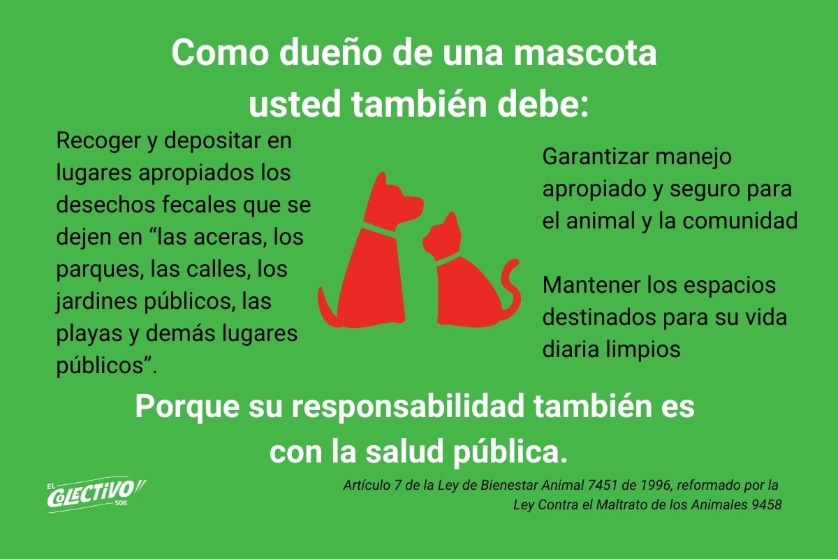 Como dueño de una mascota usted también debe