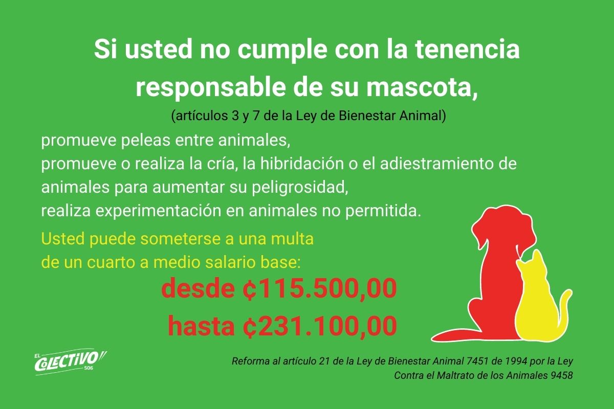 Si usted no cumple con la tenencia responsable de su mascota (artículos 3 y 7 de la Ley de Bienestar Animal) usted puede someterse a una multa