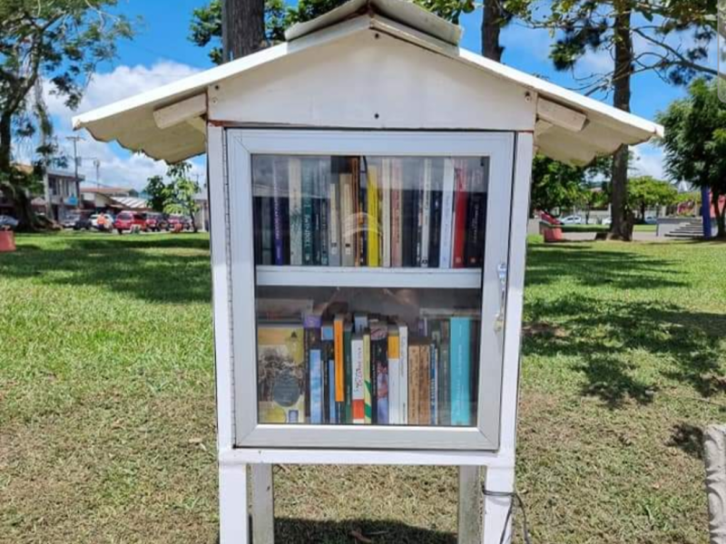 Mini bibliotecas en sus nuevos colores. Cortesía Ana Monestel Montoya / El Colectivo 506
